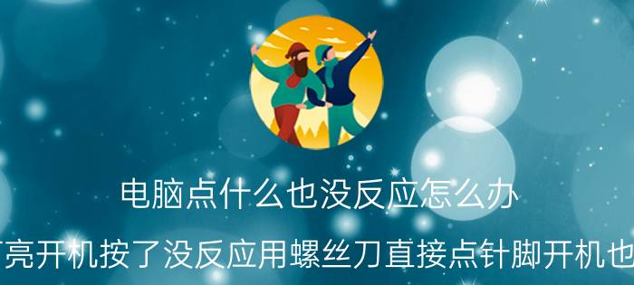 电脑点什么也没反应怎么办 主板灯亮开机按了没反应用螺丝刀直接点针脚开机也没反应？